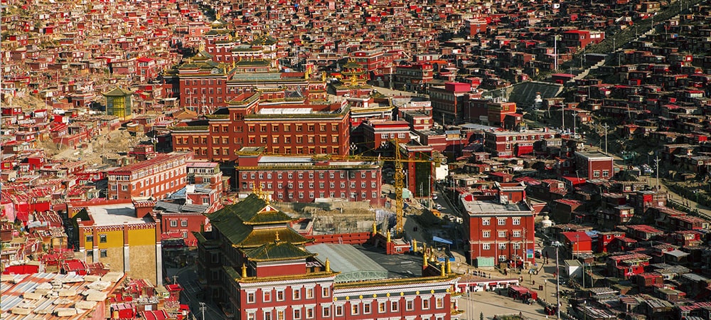 プライバシーポリシー